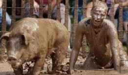 猪灌泥浆爆料视频大全图片,揭秘网络爆料的真相与争议