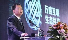 苏宁董事长爆料视频大全,独家爆料视频大全背后的真相与内幕