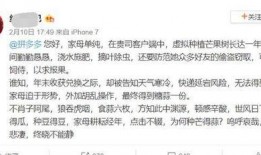 娱乐吃瓜酱文言文怎么说,古风版副标题概览