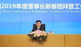 苏宁董事长爆料视频大全,独家爆料视频大全背后的真相与内幕