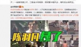 三盛集团爆料事件始末视频,真相与争议的漩涡