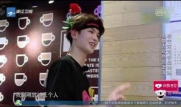 娱乐圈爆料大宝贝是谁,大宝贝身份揭秘，究竟是谁引发热议？