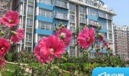 大连奥林最新爆料,揭秘项目进展与未来规划