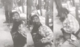 小胖闯非洲爆料视频全集,全程揭秘非洲异域风情与生存挑战