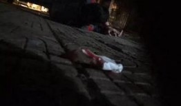 台州爆料打架视频大全,打架视频大全揭露暴力真相