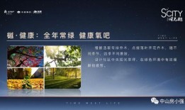 跑吧少年最新皮肤爆料文,速度与激情的视觉盛宴