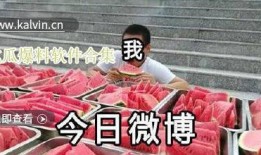 瓜网的最新爆料有哪些,揭秘娱乐圈惊天大事件！