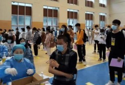 陨星爆料最新消息新闻发布会,最新消息新闻发布会精彩回顾
