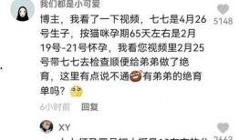 娱乐吃瓜君嫂子是谁,揭秘“娱乐吃瓜君”背后的神秘嫂子身份