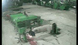 小胖猪事件爆料视频大全,揭秘网络爆料的真相与争议