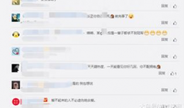 cat最新爆料,揭秘猫咪不为人知的秘密生活