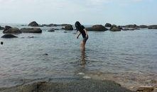 海角吃瓜真实视频下载免费,免费下载真实视频背后的故事