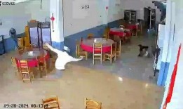 吉林市食堂爆料视频曝光,食品安全问题引关注