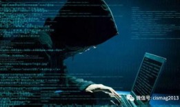 四川黑客最新爆料新闻,揭秘网络犯罪内幕