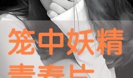 笼中的妖精在线观看,揭秘神秘生物的奇幻之旅