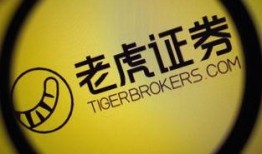 老虎证券最新爆料,揭秘金融科技巨头的新动向